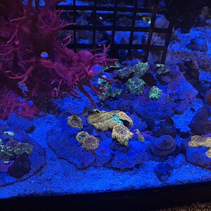 IMG_0921.jpeg