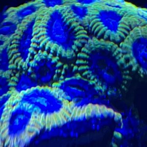 IMG_0874.jpeg