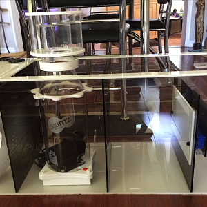 Custom Sump/Refuge + SKIMZ Protein Skimmer 167 DC