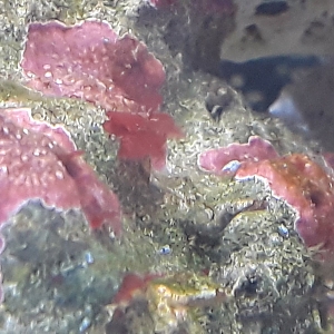20180211_142232