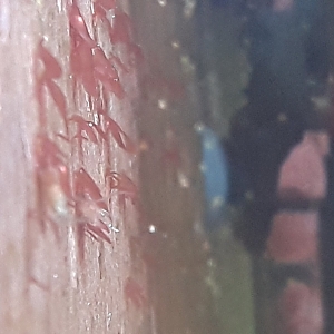 20180211_142448