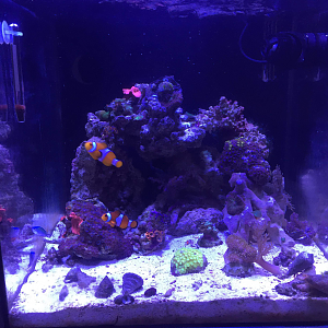 Fts1ai