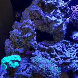 20180425_181946