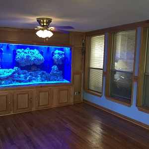 Home  REEF2REEF Saltwater and Reef Aquarium Forum