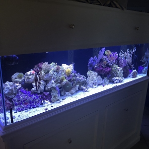 Tank 2