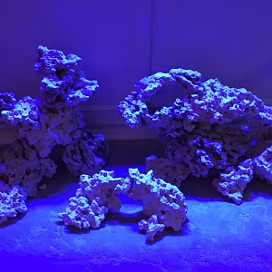 Aquascape is getting close to what I want