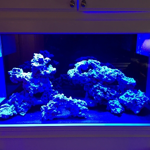Aquascape - not totally following the rule of thirds but close