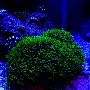 20181208_120916