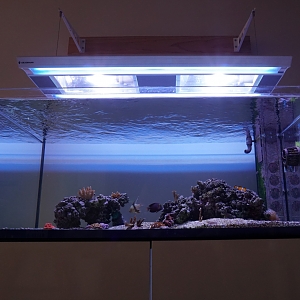 Fts