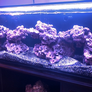 FTS 2-10-19 - Right Side