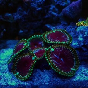 20190412_211957
