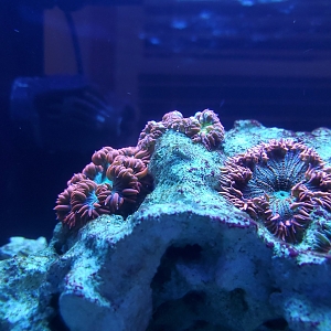 20190329_212134