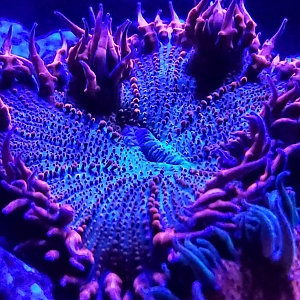20190614_230329