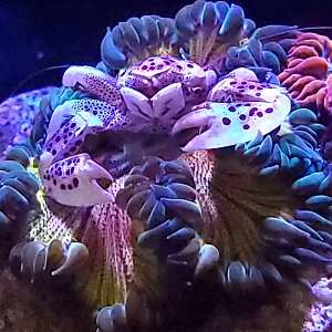 20190621_163855