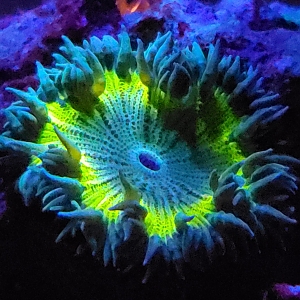 20190622_225031