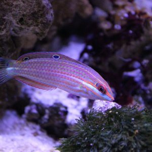 IMG_8199.JPG