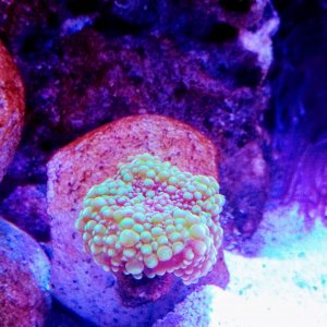 IMG_20201213_142013632.jpg