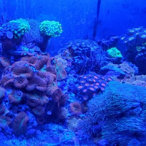 20201224_135727.jpg