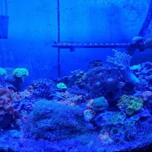 20201224_135658.jpg