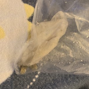 B82B64EC-551A-4DAC-822A-FBF28C8AEB18.jpeg