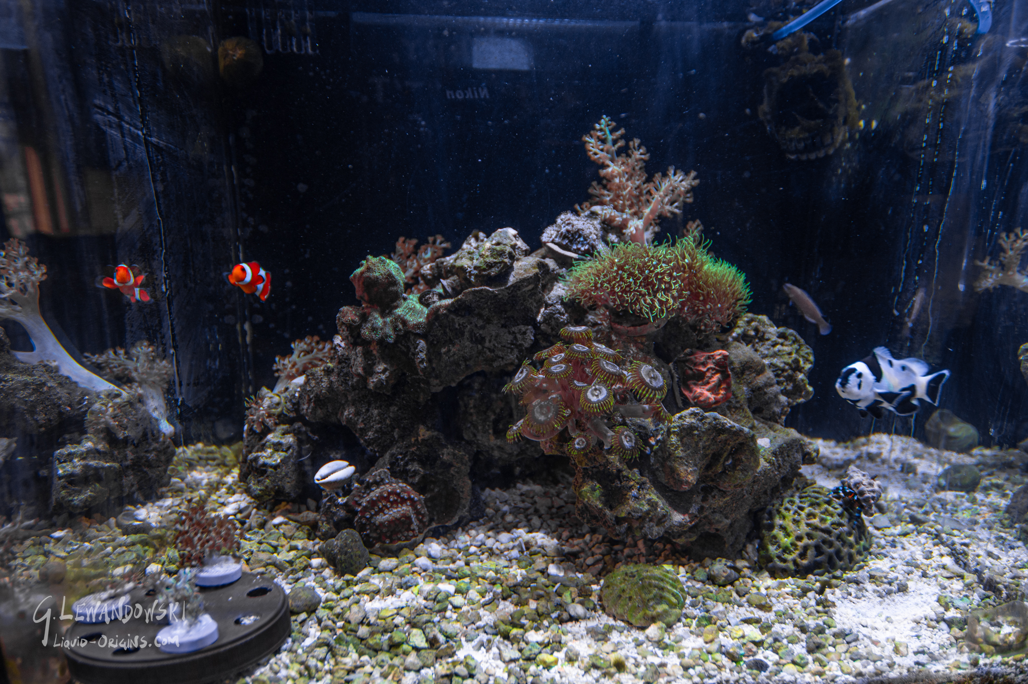 20 gal Cube