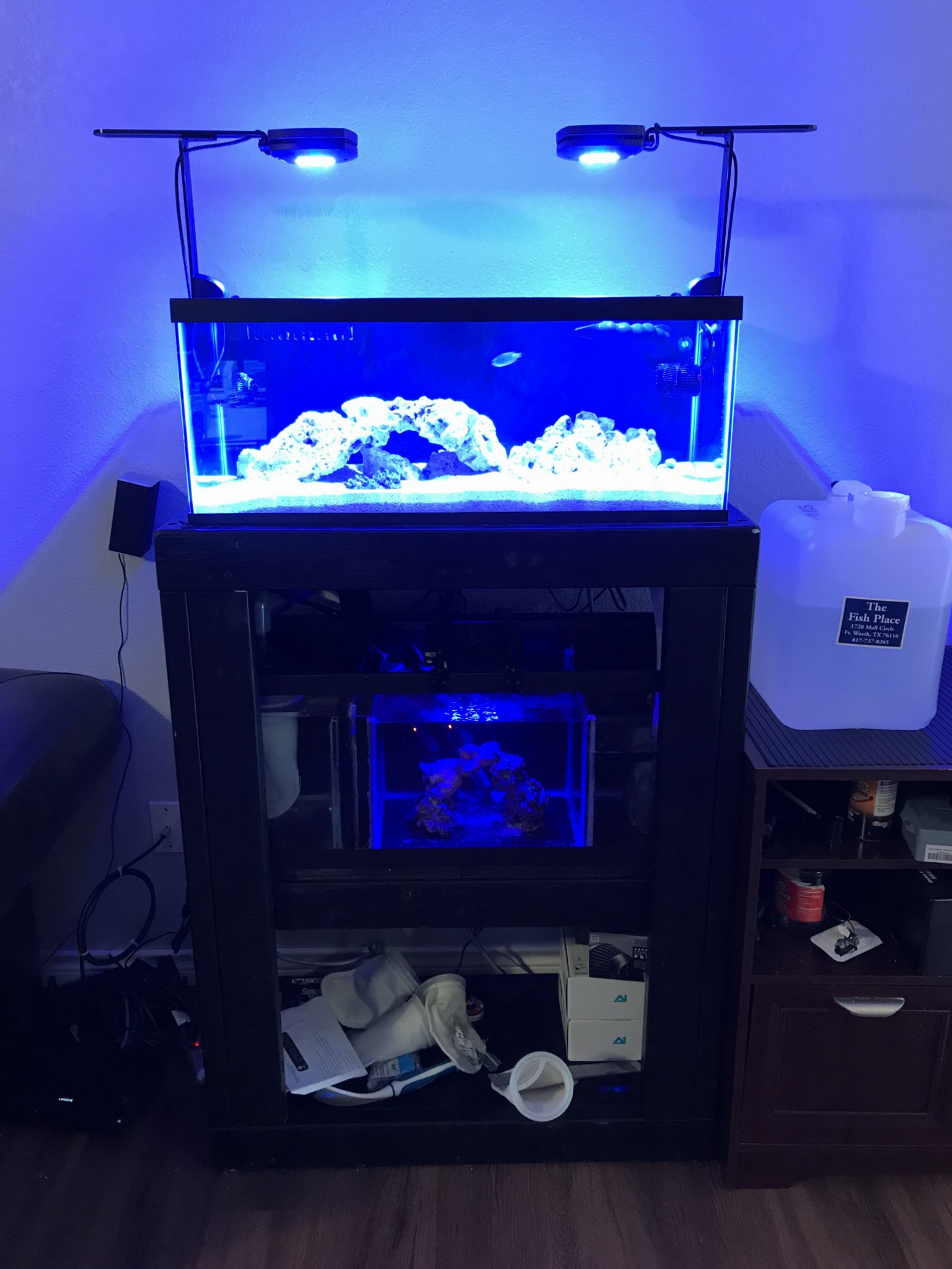 20 gal long