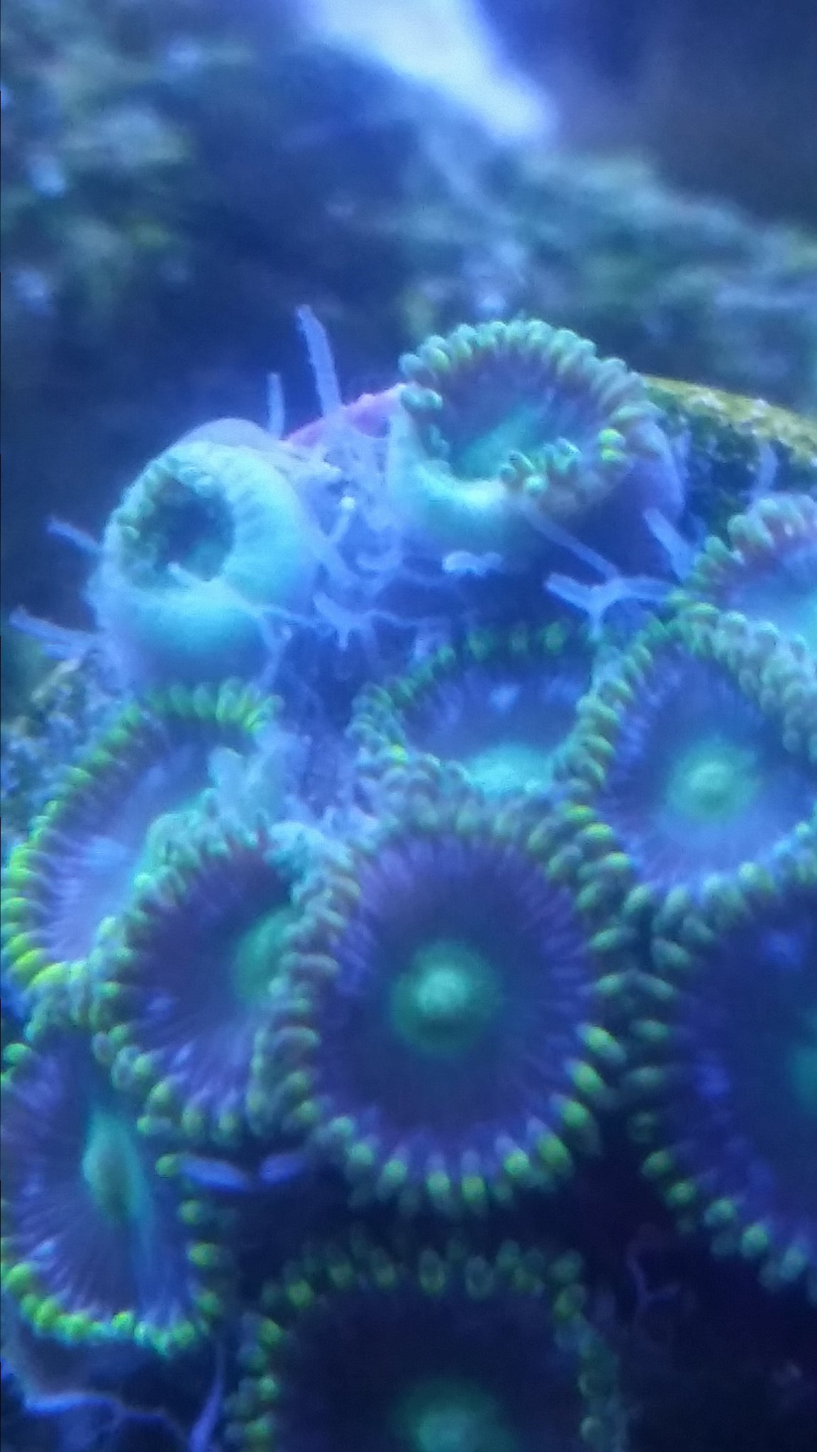 20170927_195724