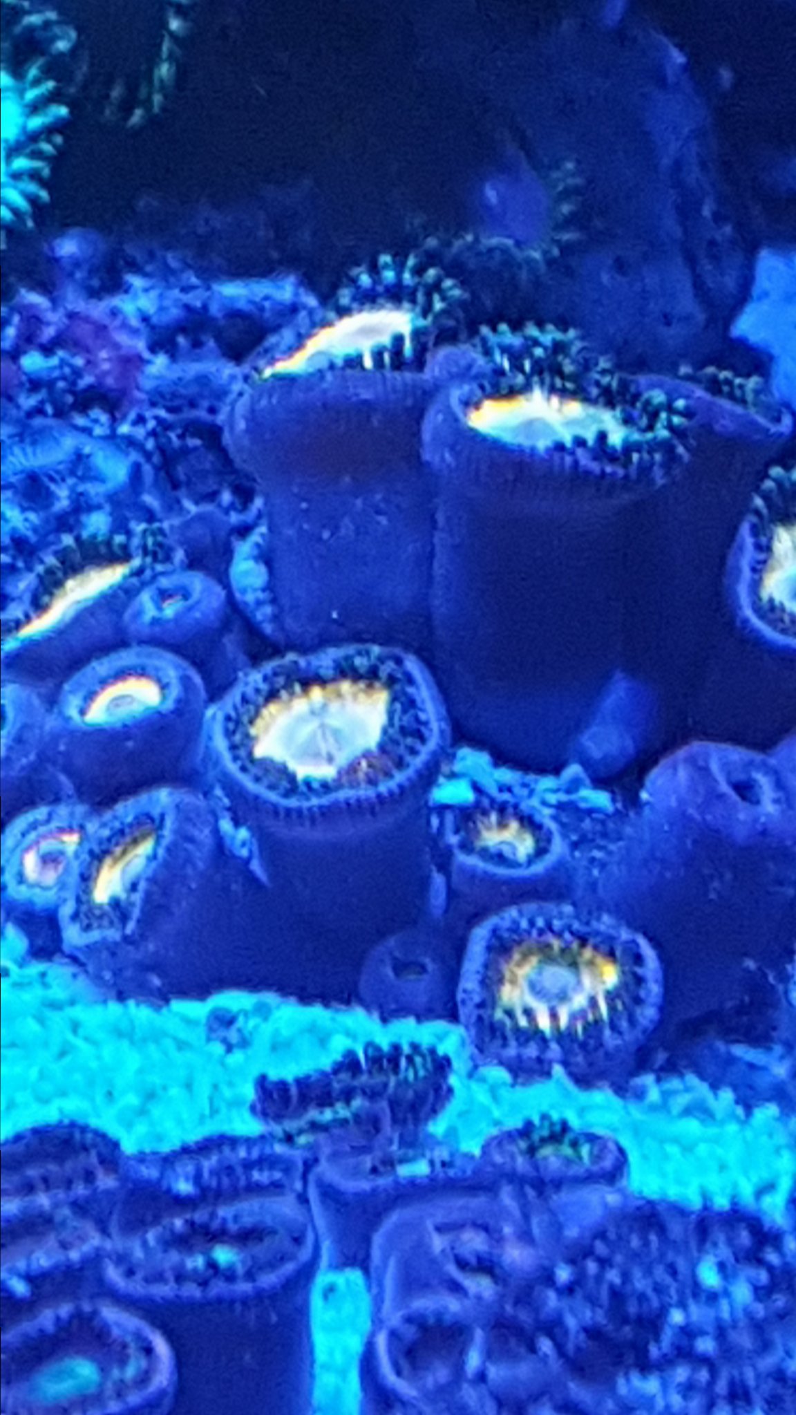 20171107_003426