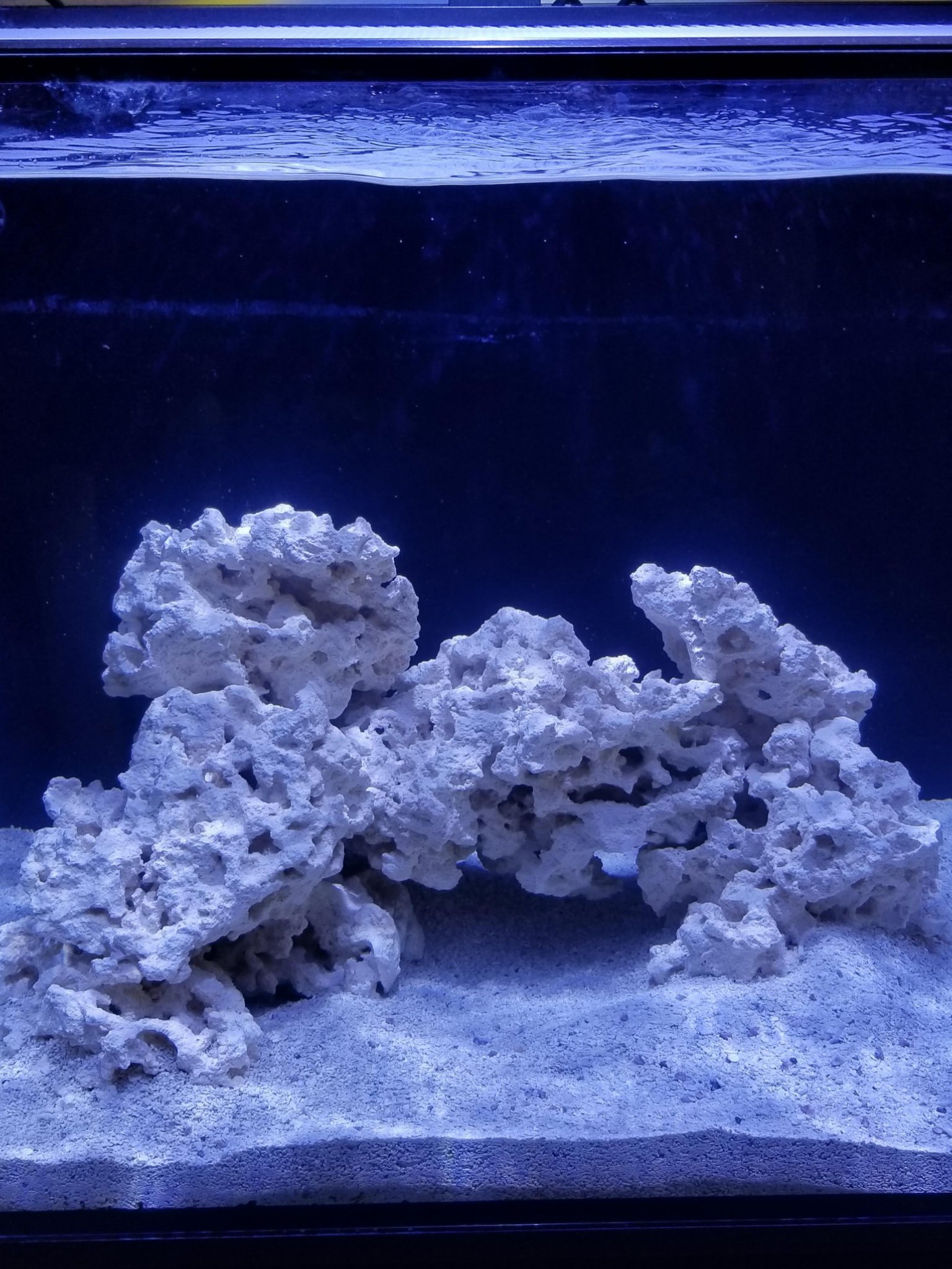 20180904_103147 | Reef2Reef