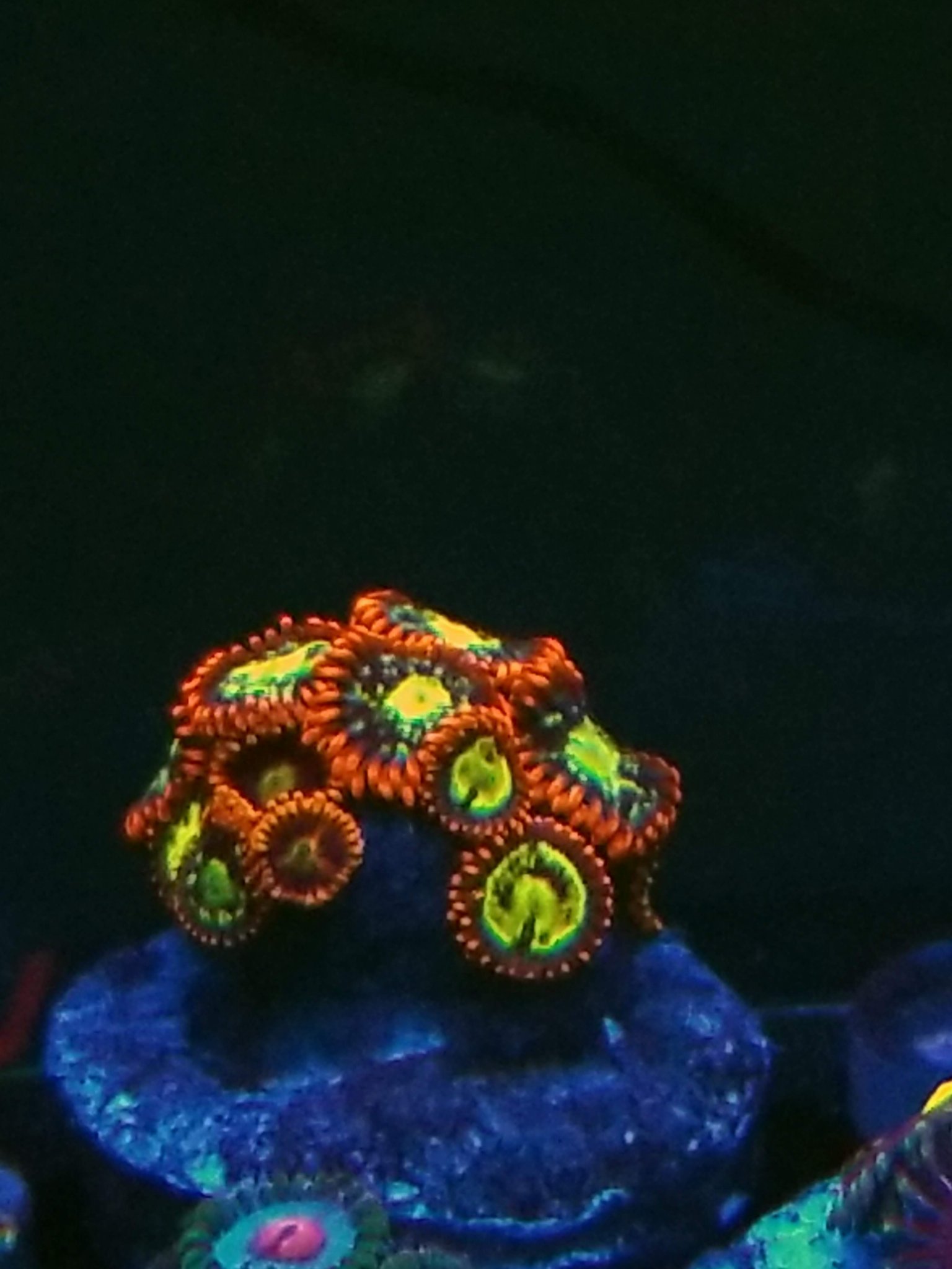 20190412_212143