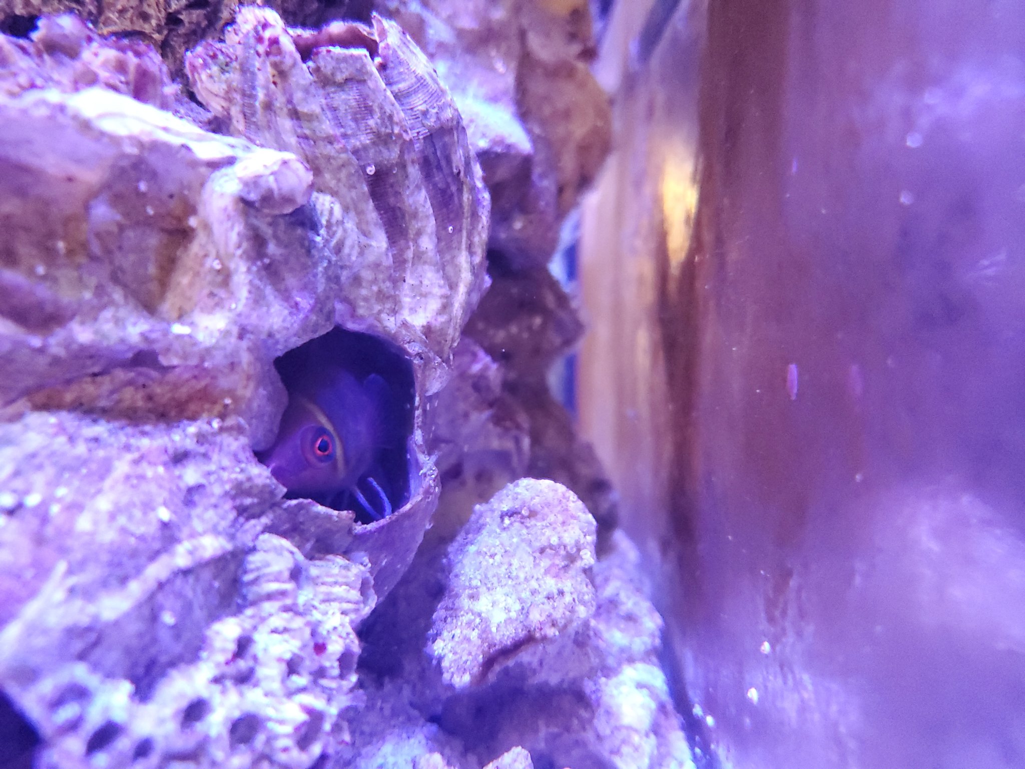 20190615_153621