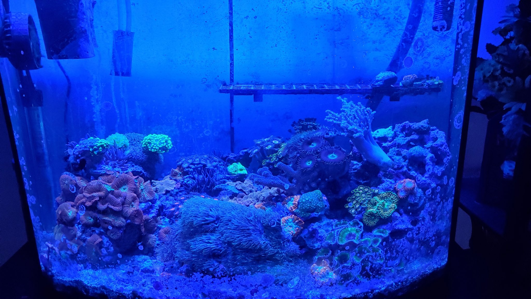20201224_135658.jpg