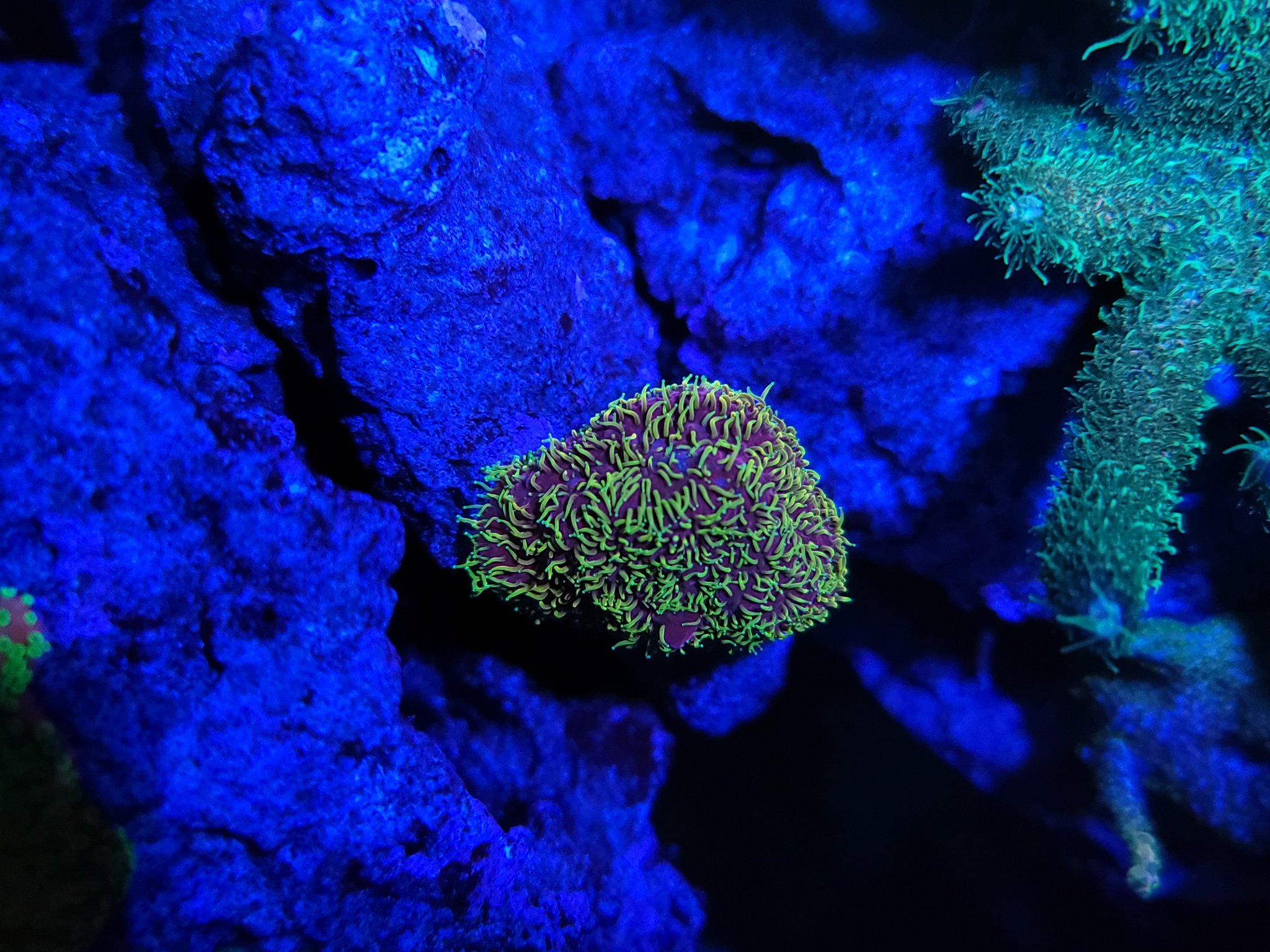20220412_002205.jpg