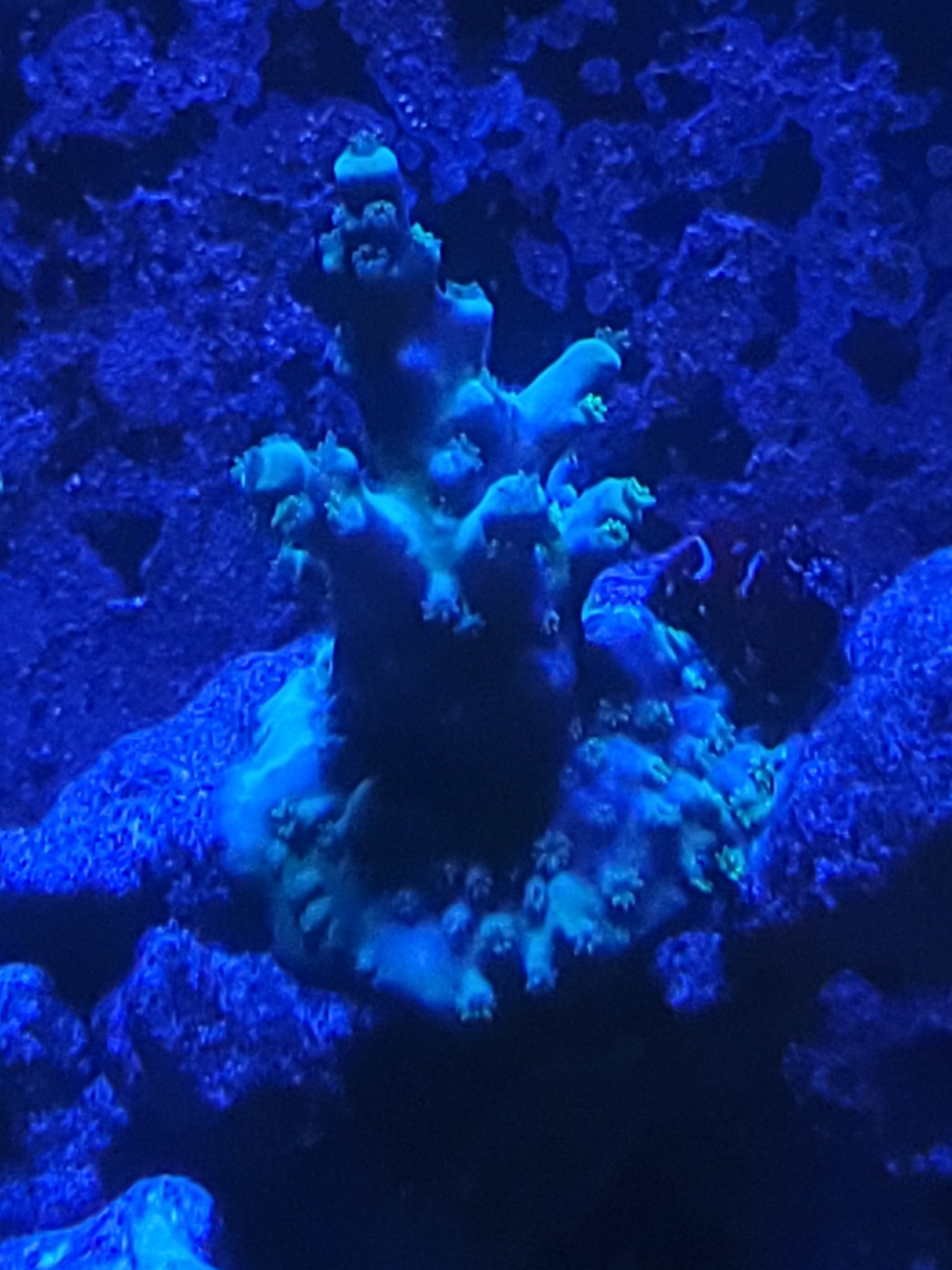 20220412_002455.jpg