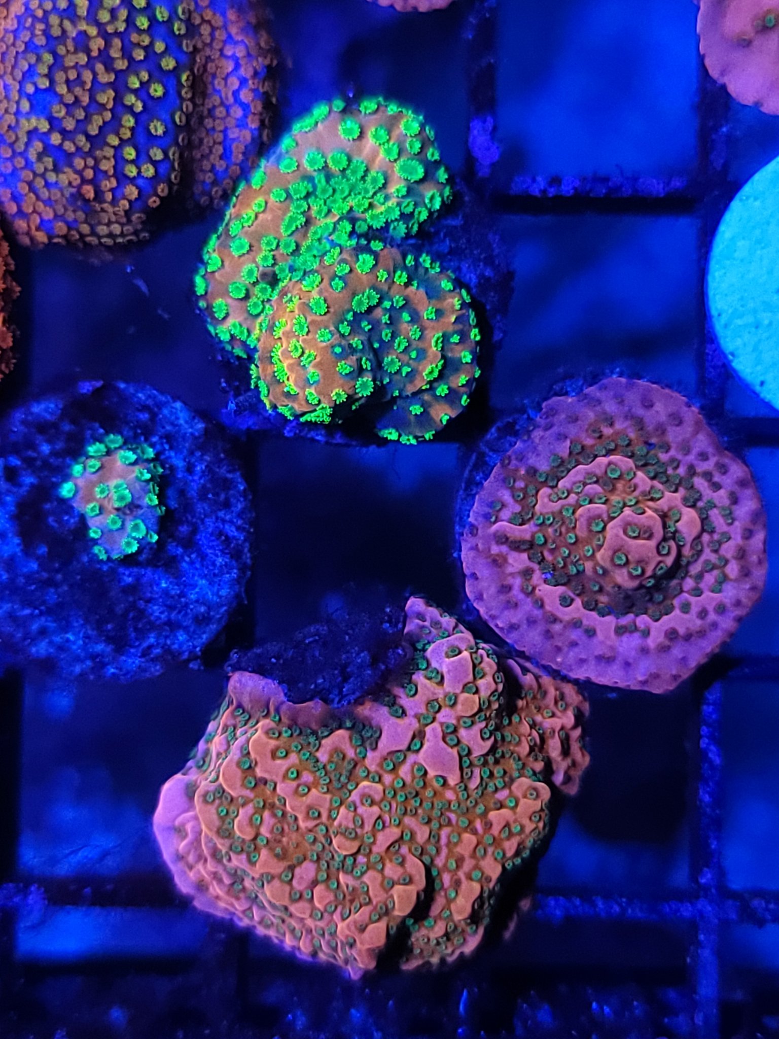 20220412_002743.jpg