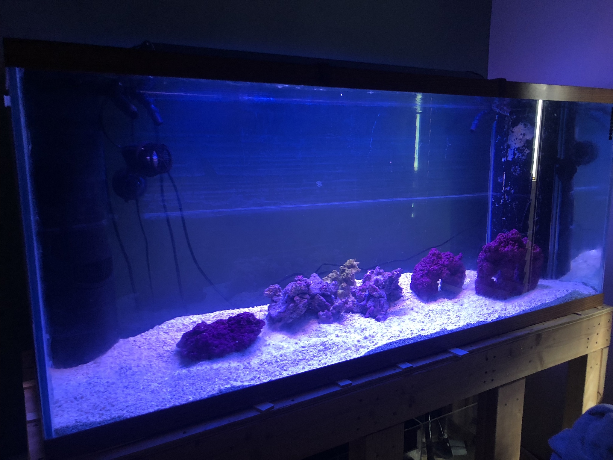 220g Finally Full