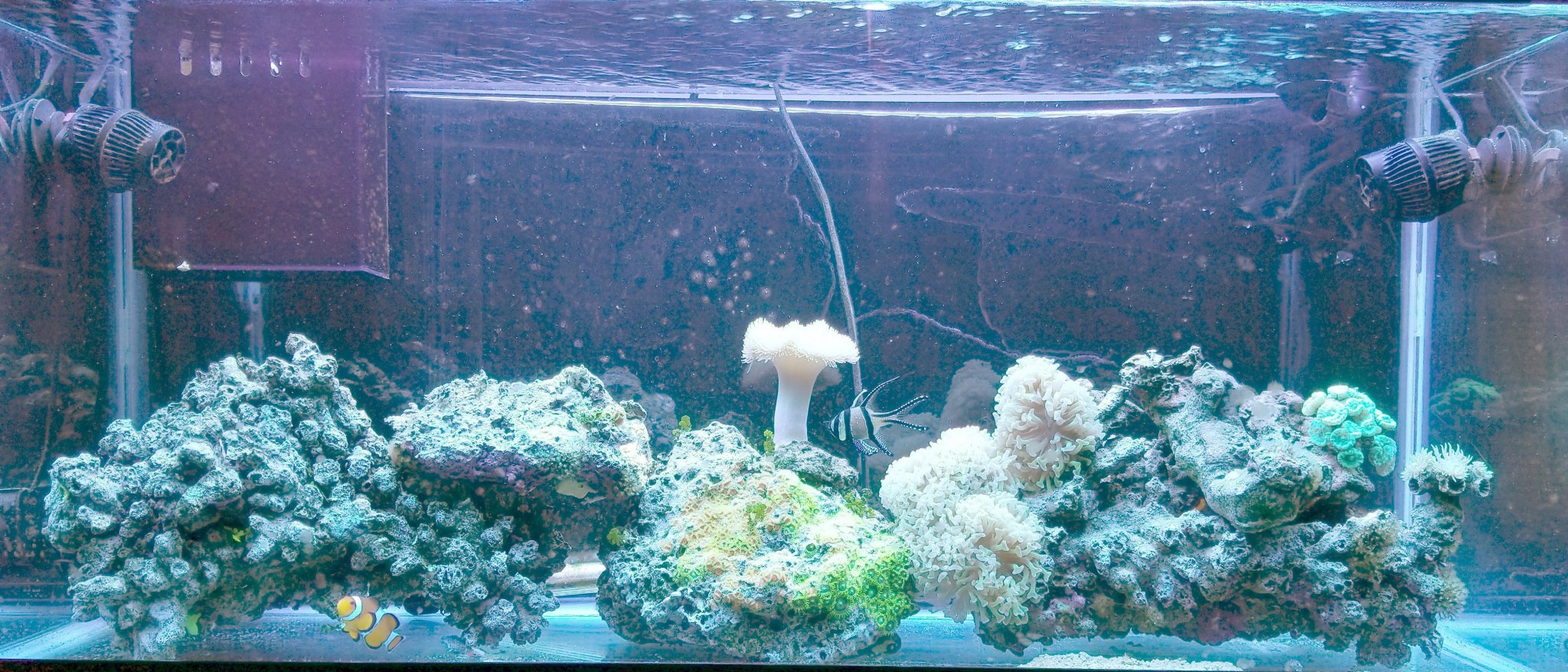 30 Gallon Long