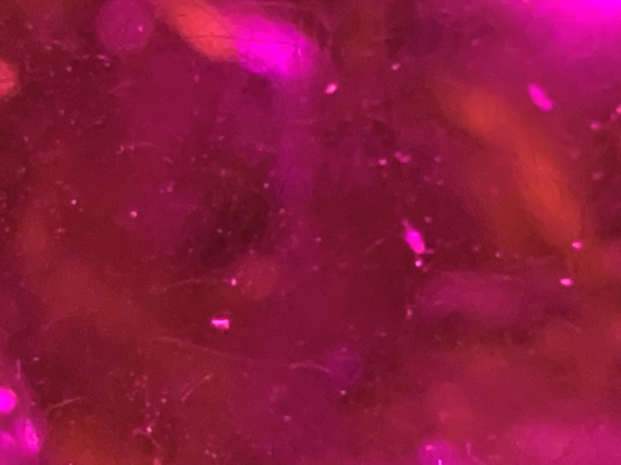 4325D23F-EB6F-4581-92DE-0B62130C9E89.jpeg