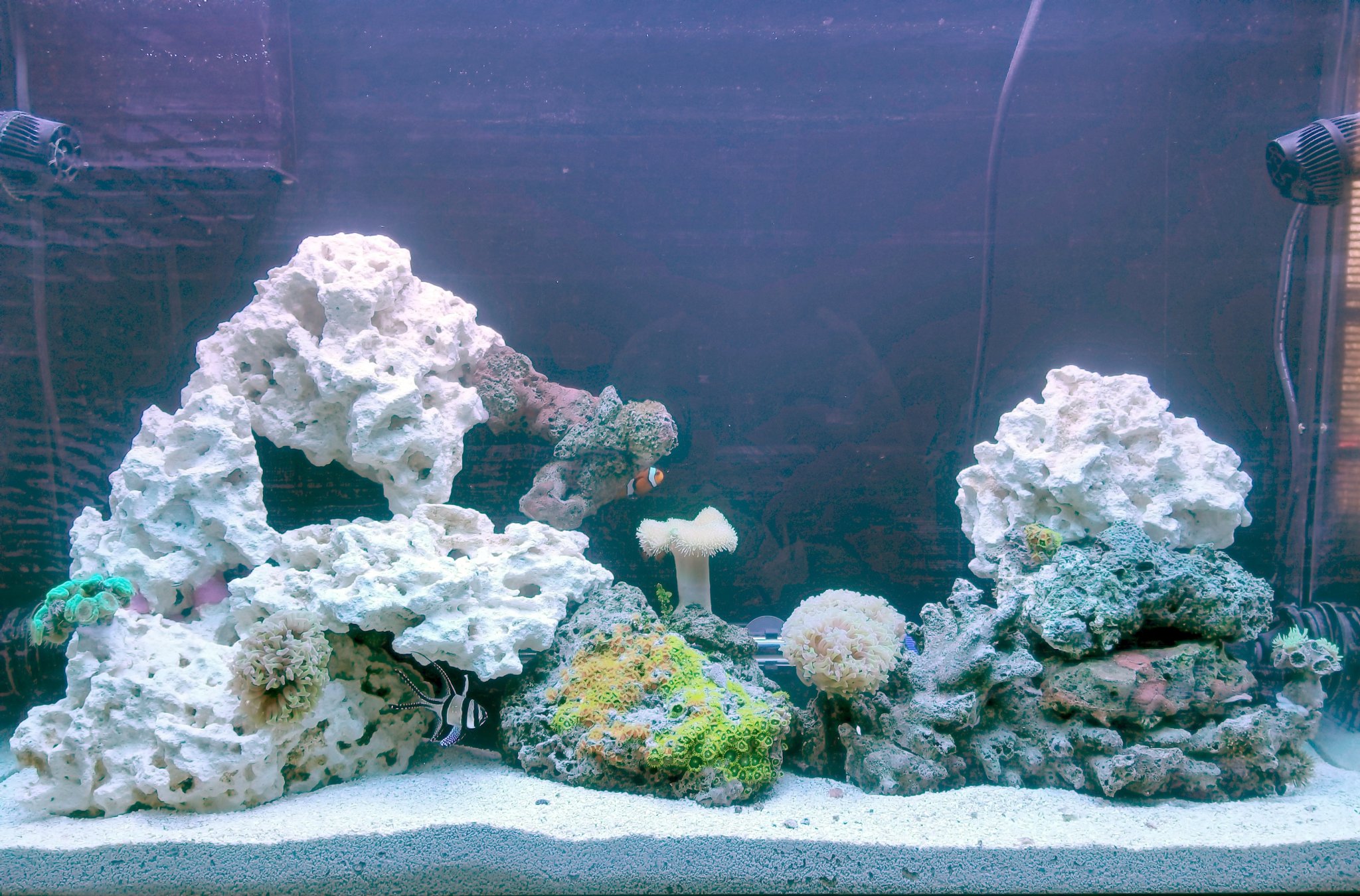 44 Gallon High