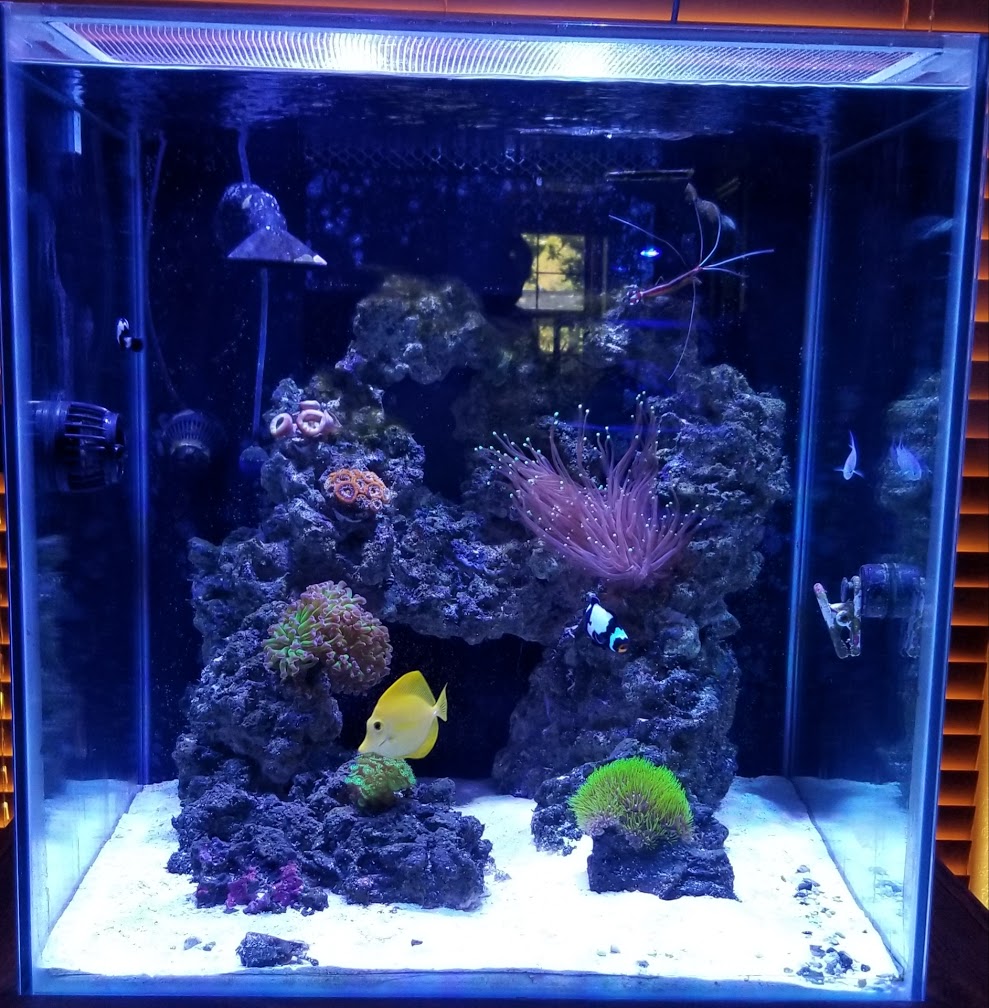 8/22/2019