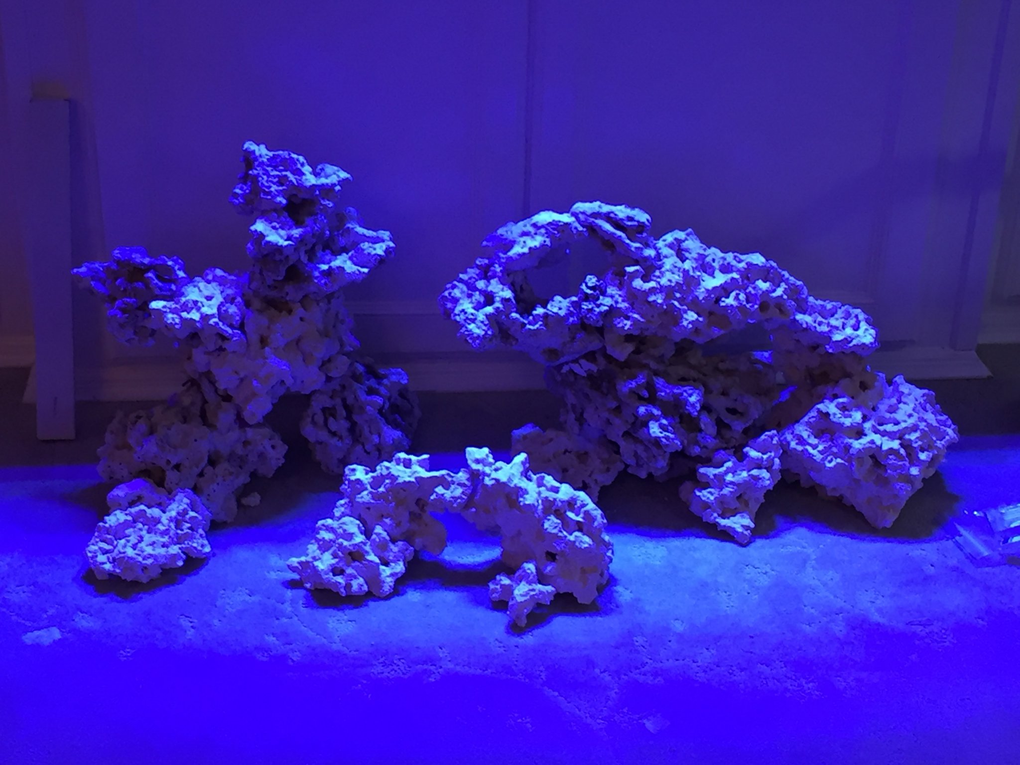 Aquascape all glued