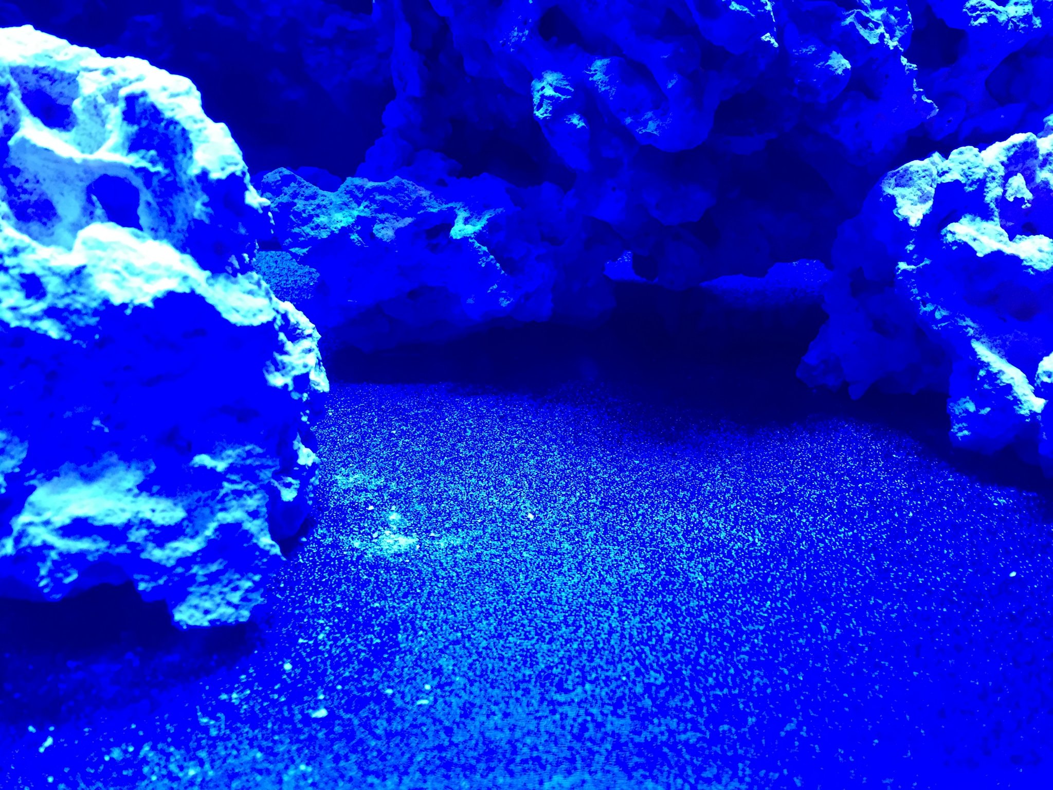 aquascape