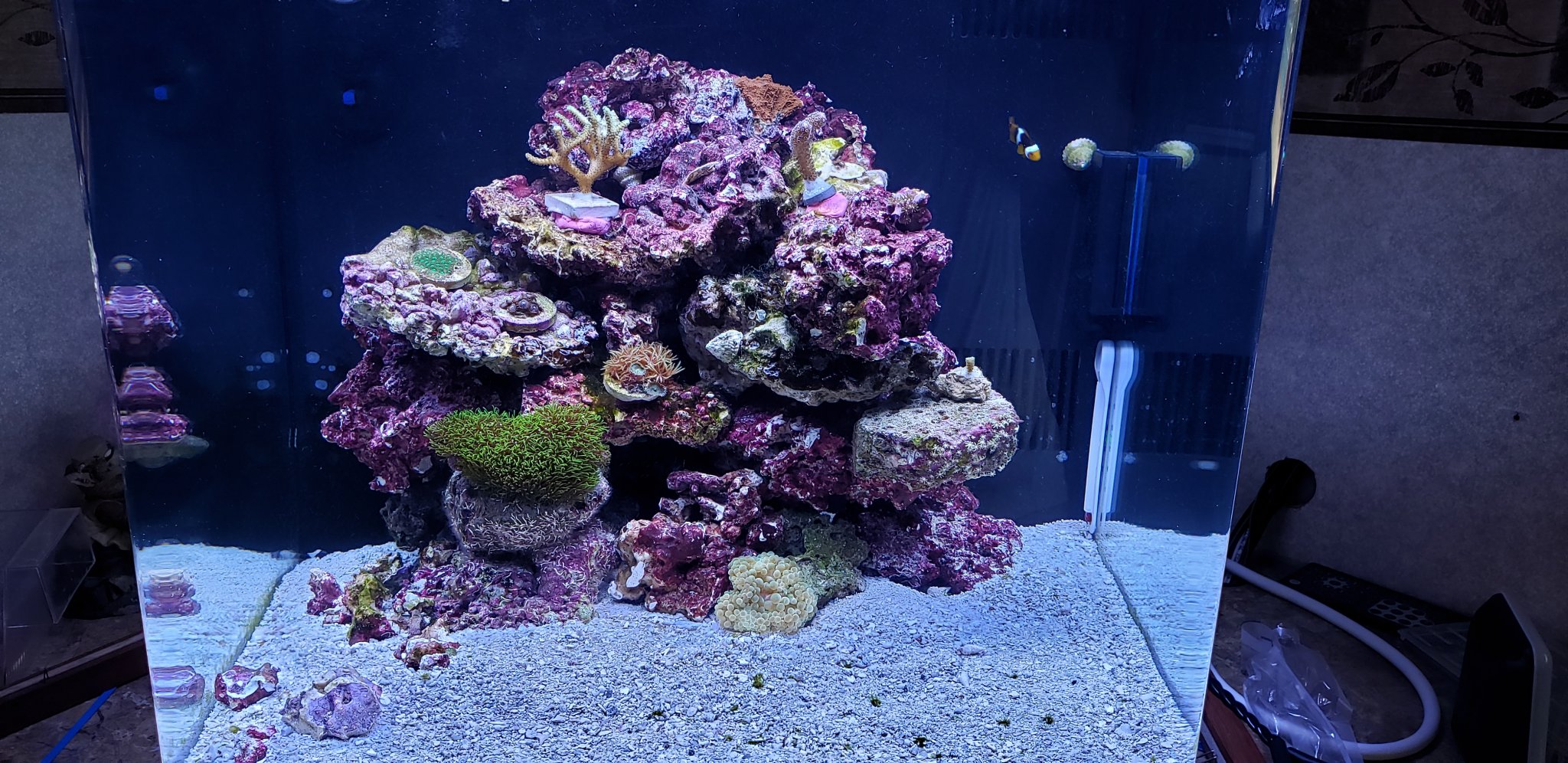 Biocube32.jpg