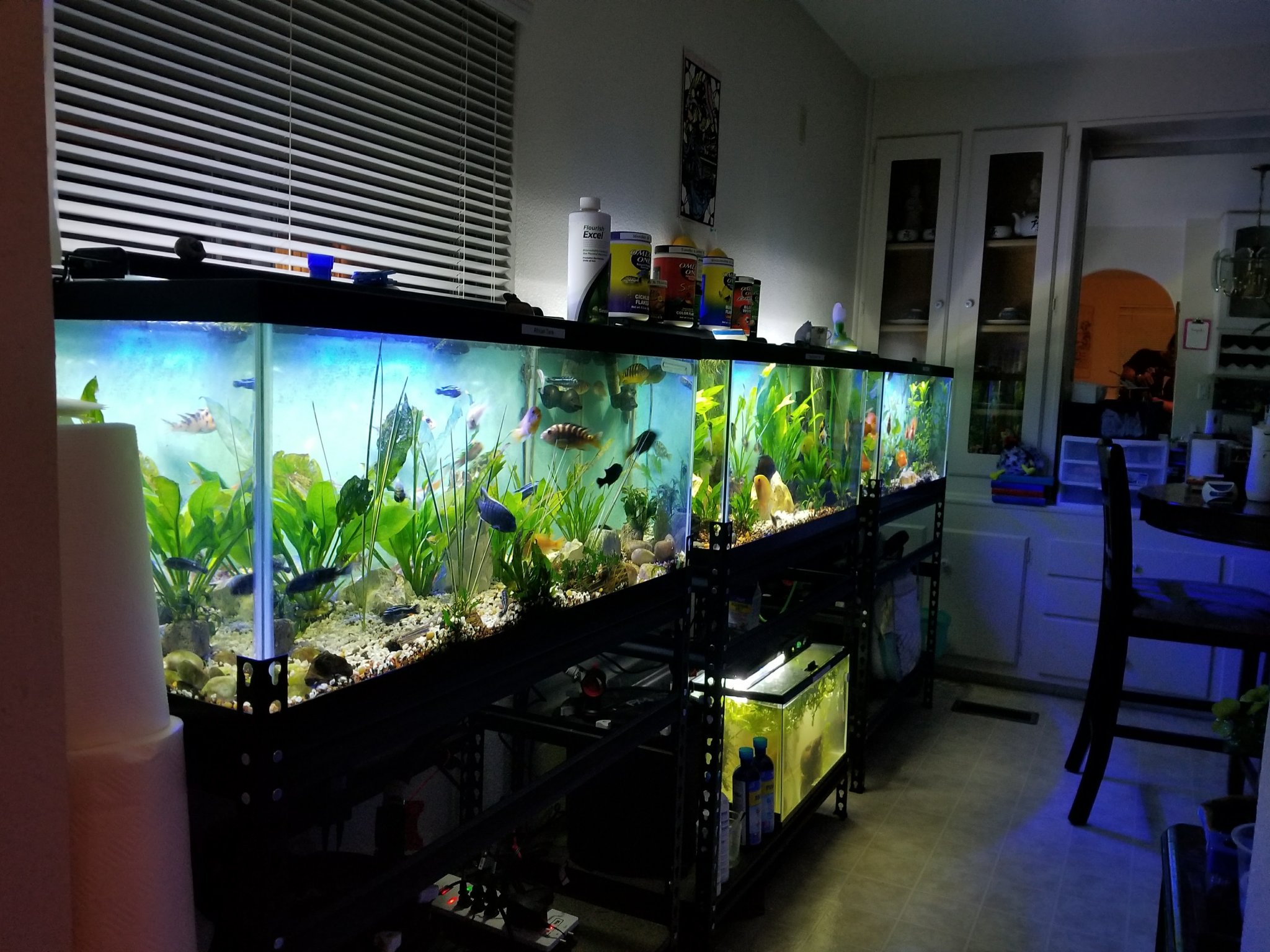 Breeder Kitchen