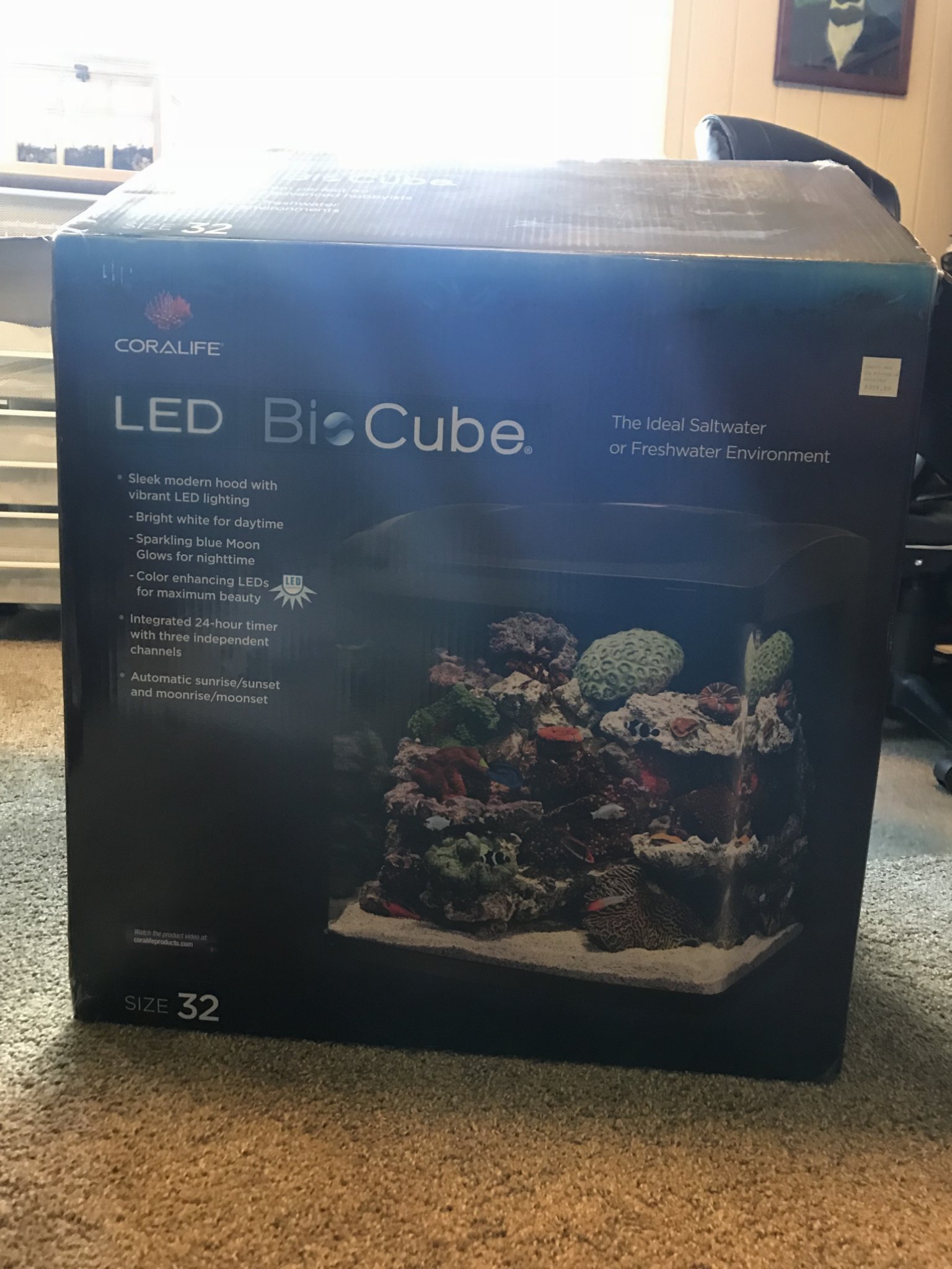 Day 1