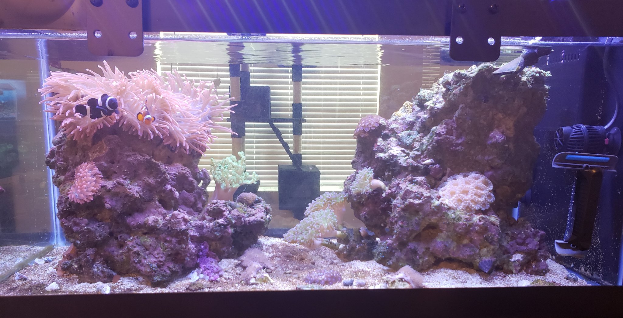 Feb 13 2019