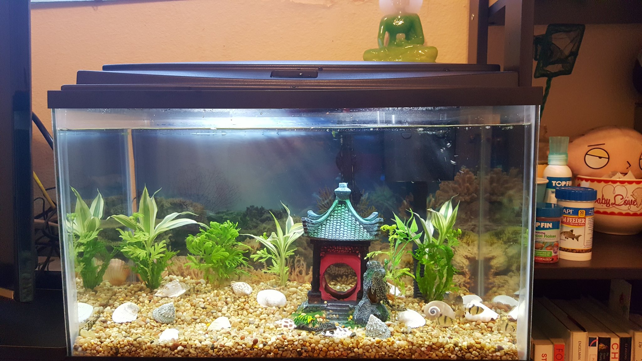 First tank Back into the hobby
