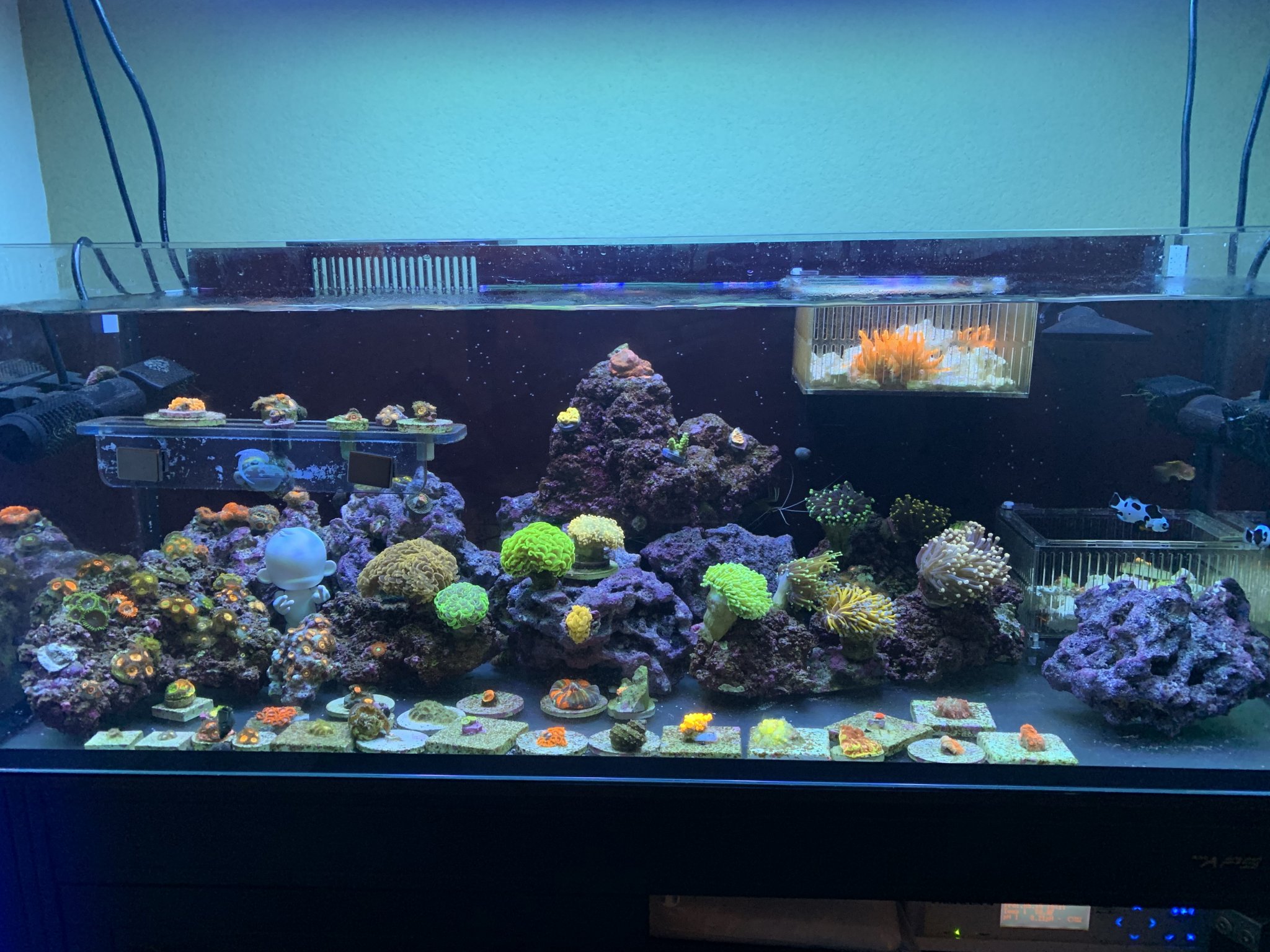 FTS 05/2019