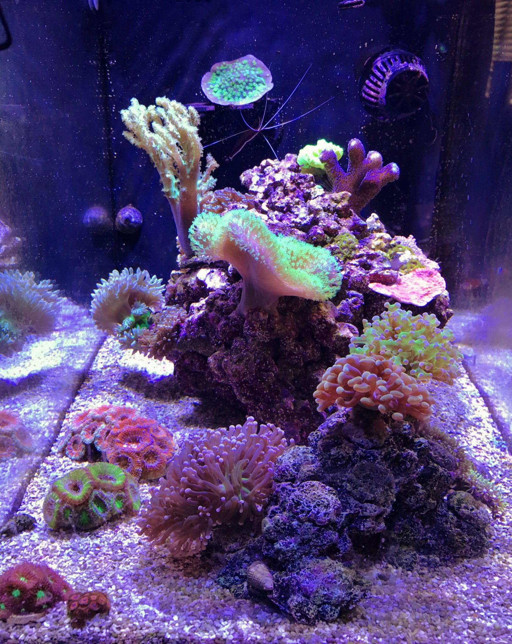 FTS 7-10-17