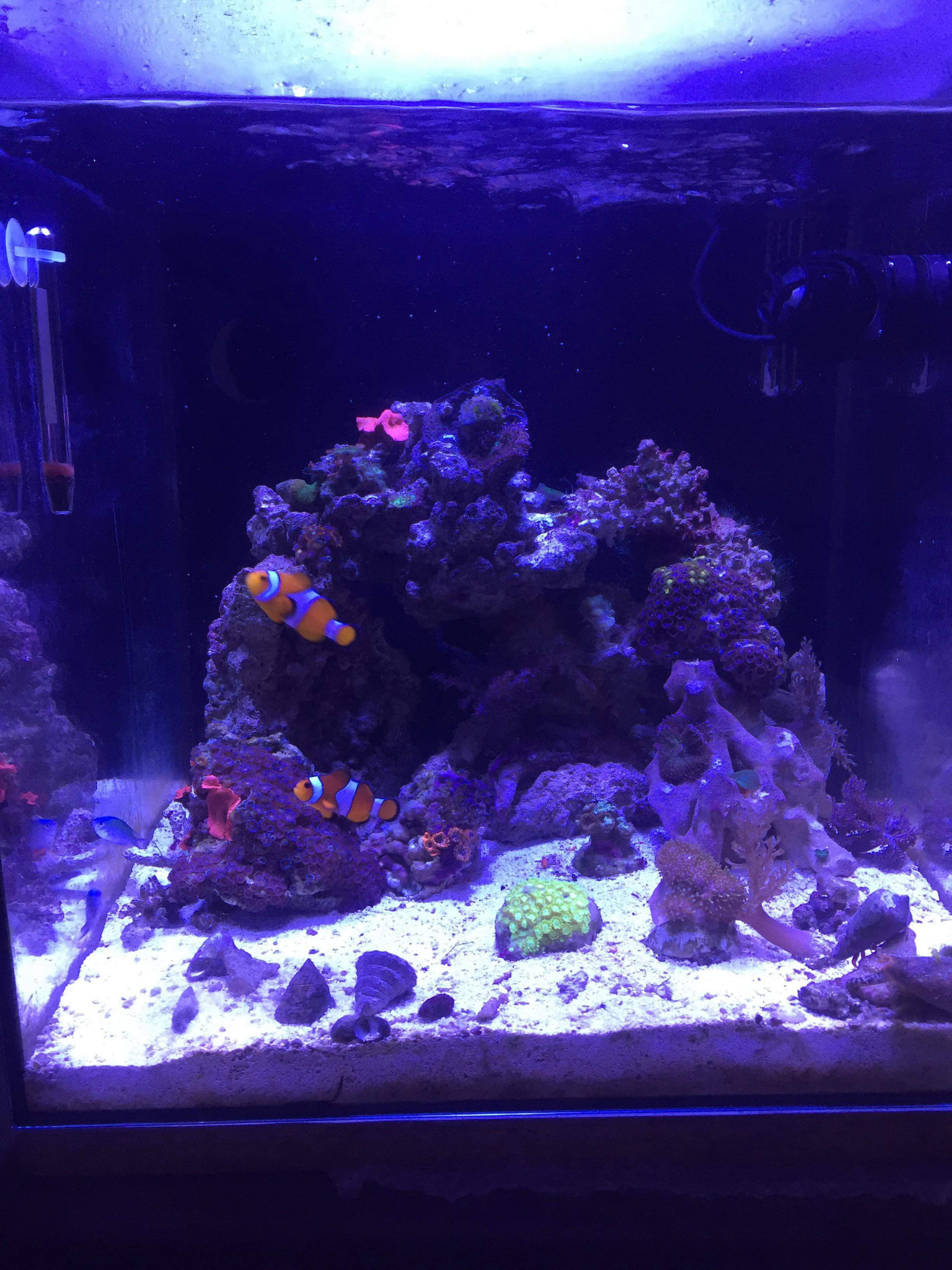 Fts1ai